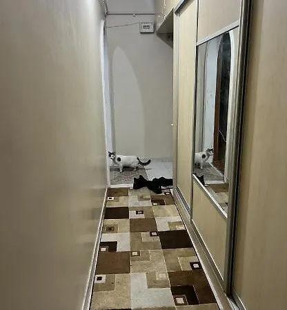 اسكدار *